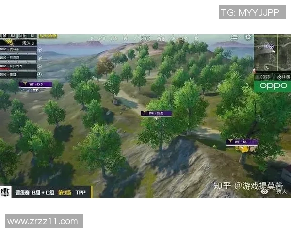 和平精英状态排名TES创新高展现团队实力与战术配合的完美结合实时新闻